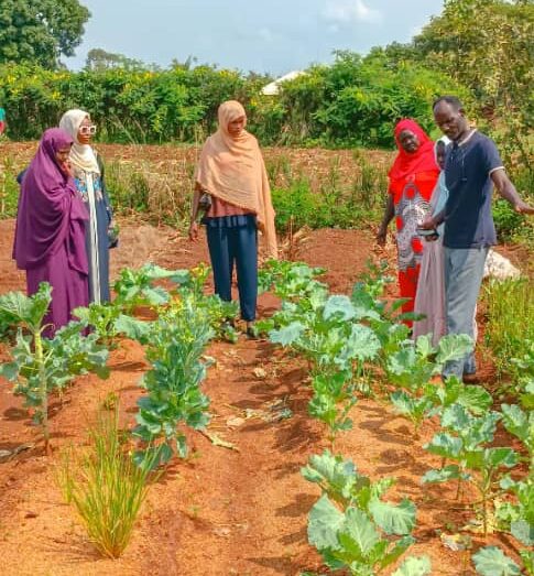 TPDO teaches people on creation of sustainable kitchen gardens.